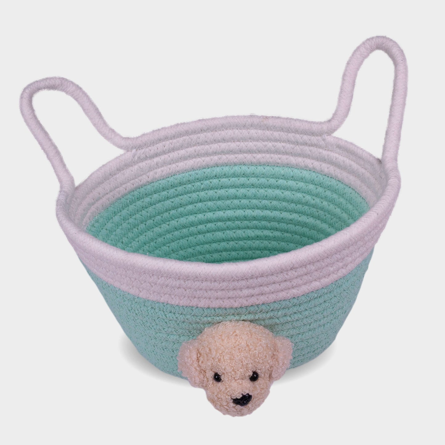 Micro Rope Basket: Mint Dog