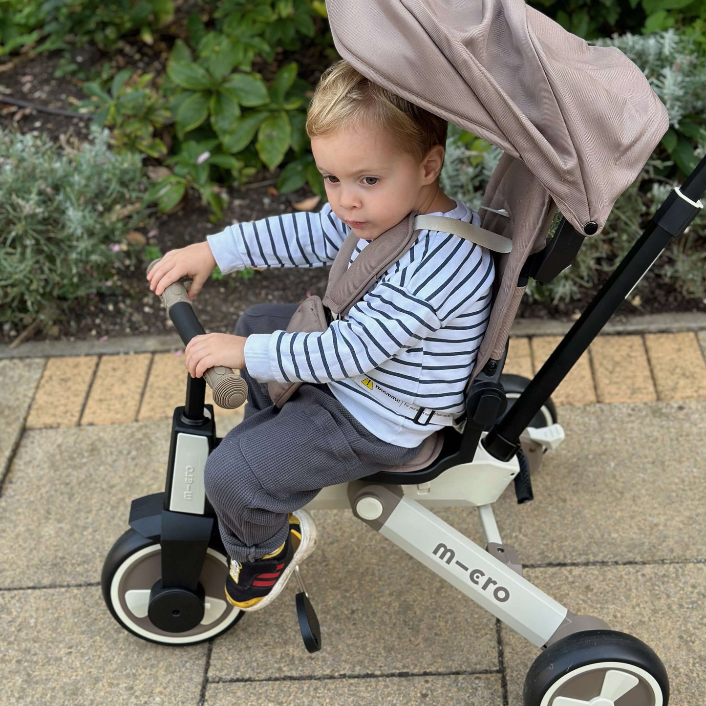 Micro Flexi Trike: Green Matcha