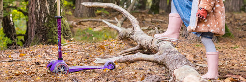 February half term scooting adventures