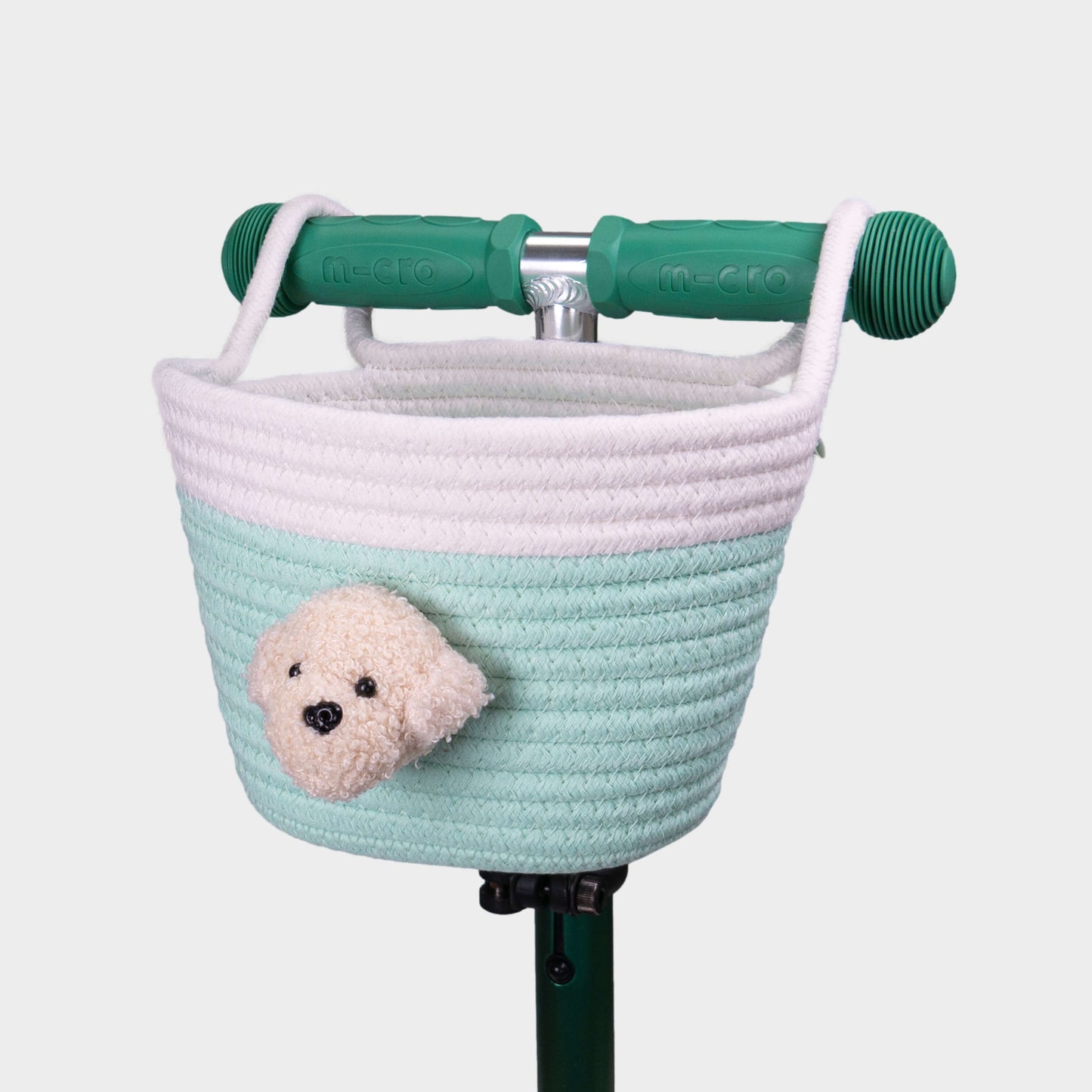 Micro Rope Basket: Mint Dog