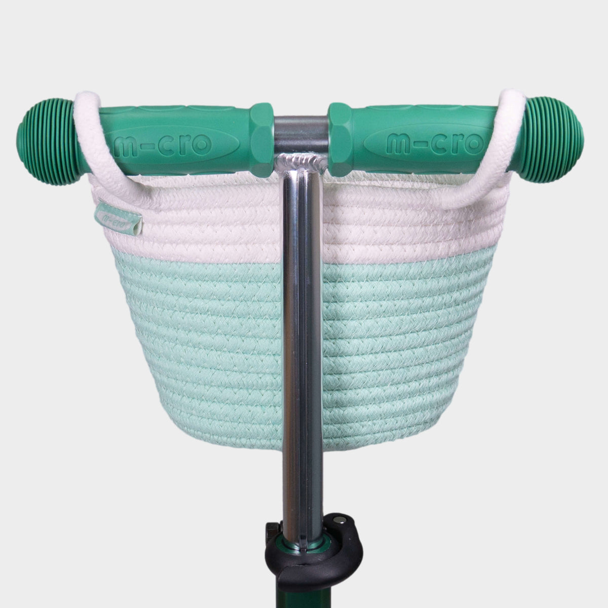 Micro Rope Basket: Mint Dog