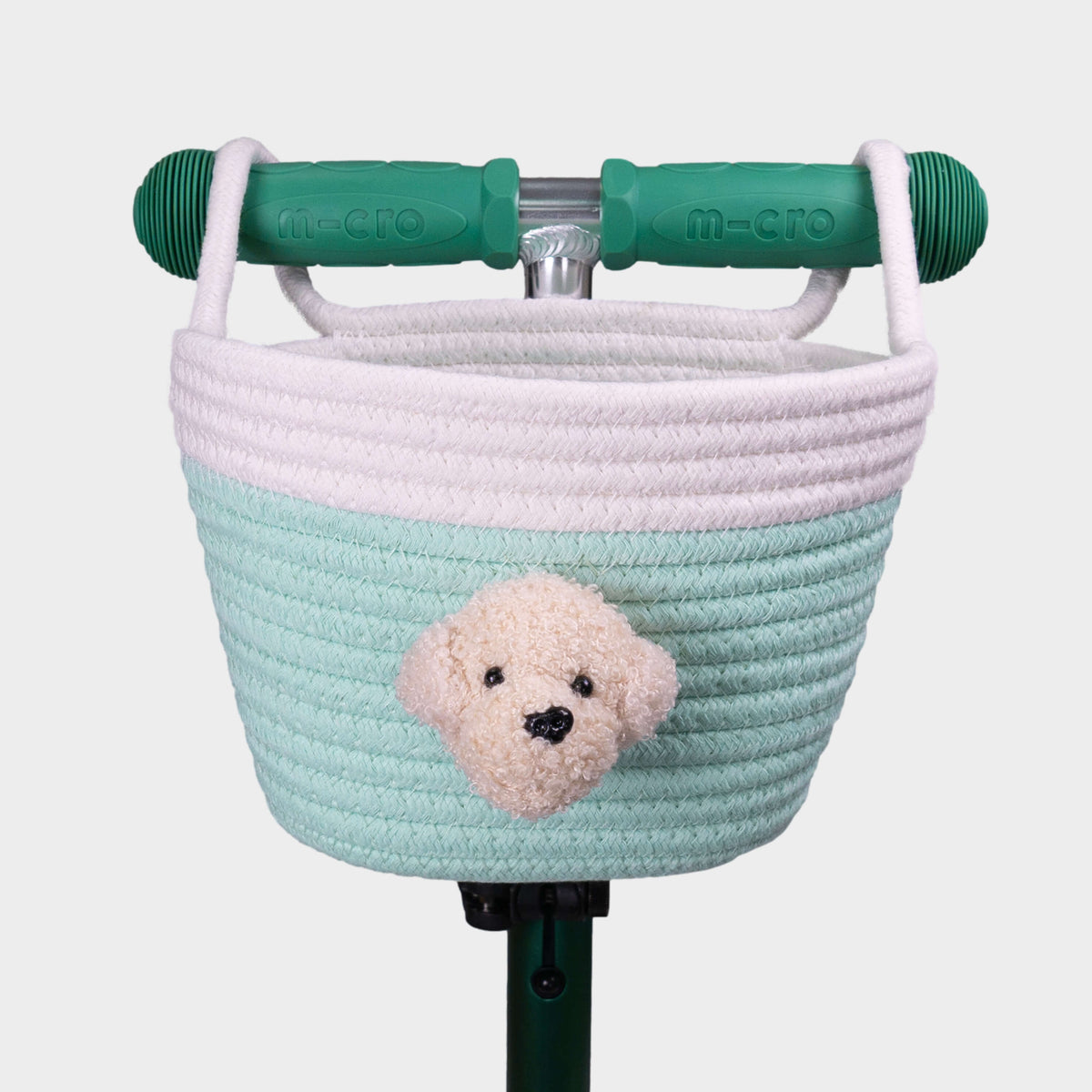 Micro Rope Basket: Mint Dog