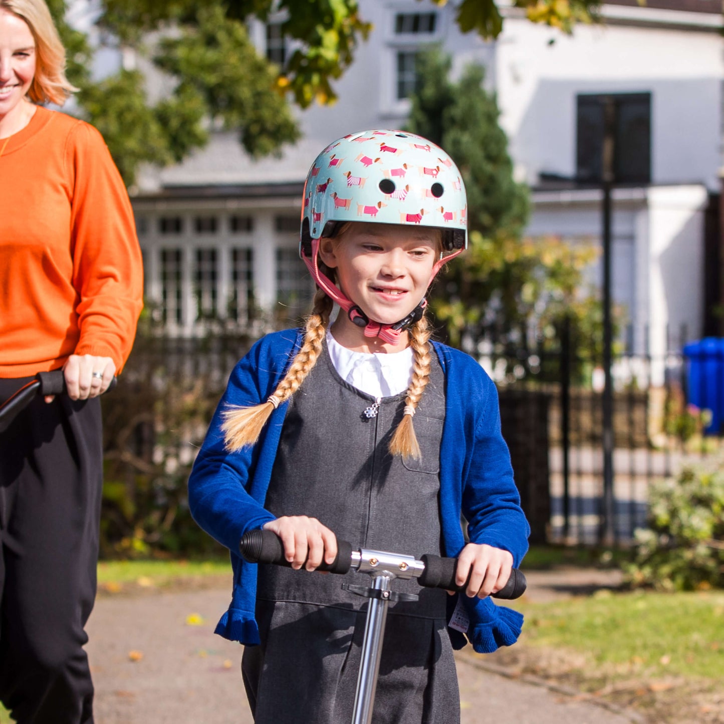 Printed Helmets for Bike and Scooters: Dog