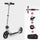 The Timeless Travel Set: Classic Scooter, Bell, Carry Bag and Lock