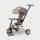 Bundle Micro Flexi Trike