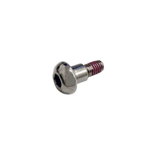 Screws: Silver